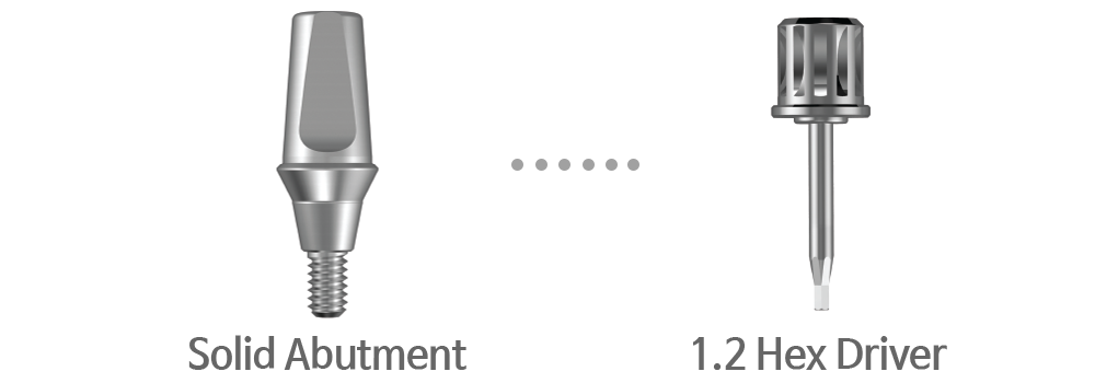 Solid Abutment