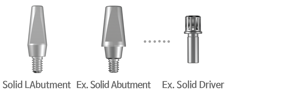 Solid Abutment